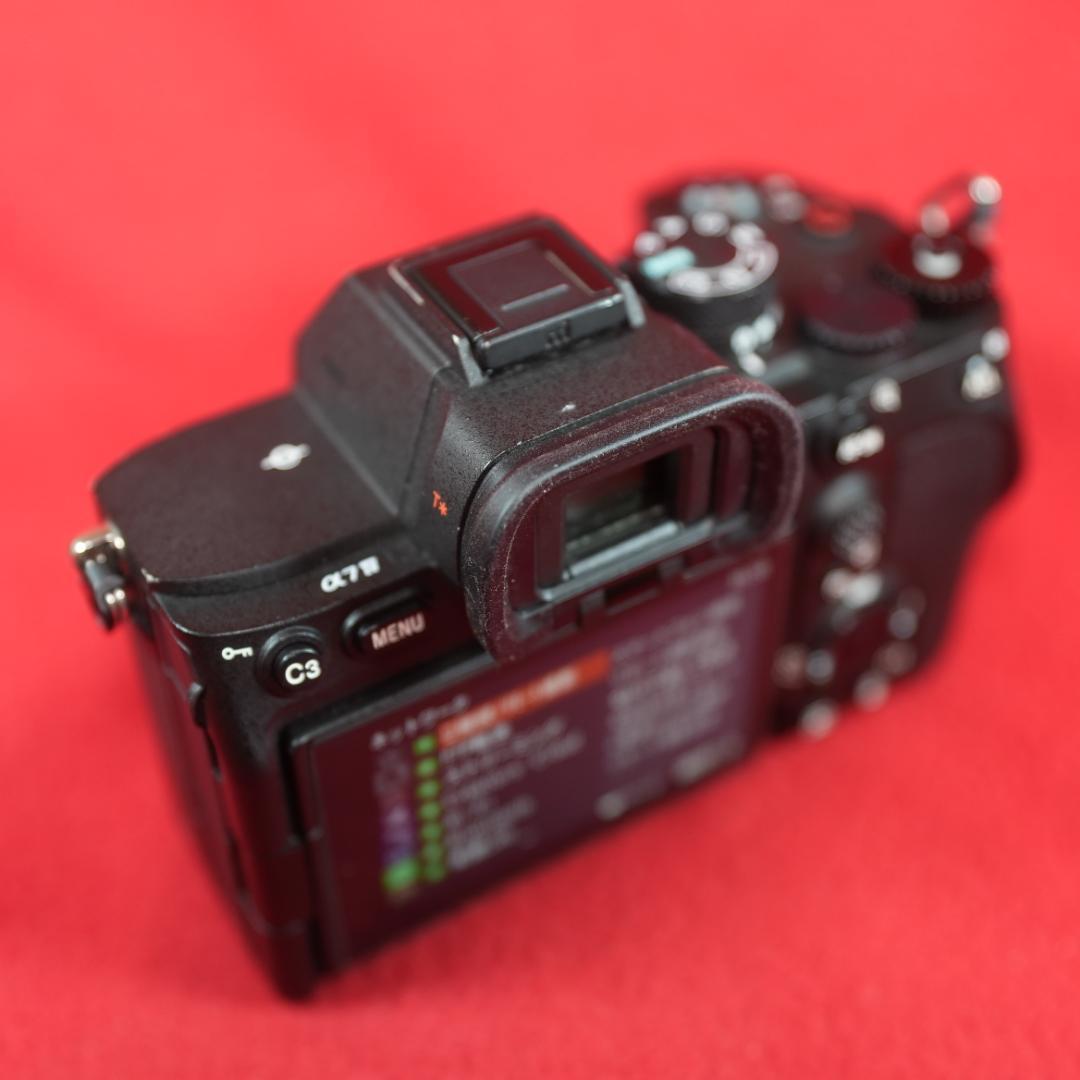 Sony Mirrorless Interchangeable Lips 7