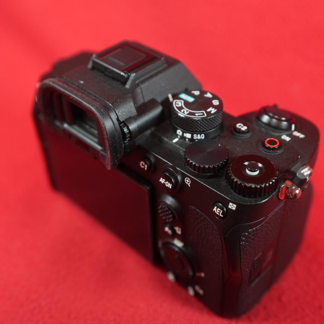 Sony Mirrorless Interchangeable Lips 7