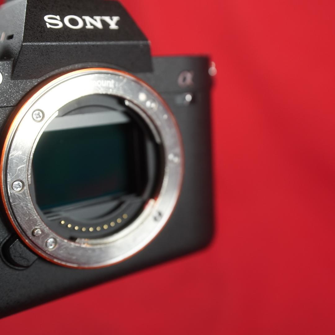 Sony Mirrorless Interchangeable Lips 7
