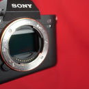 Sony Mirrorless Interchangeable Lips 7