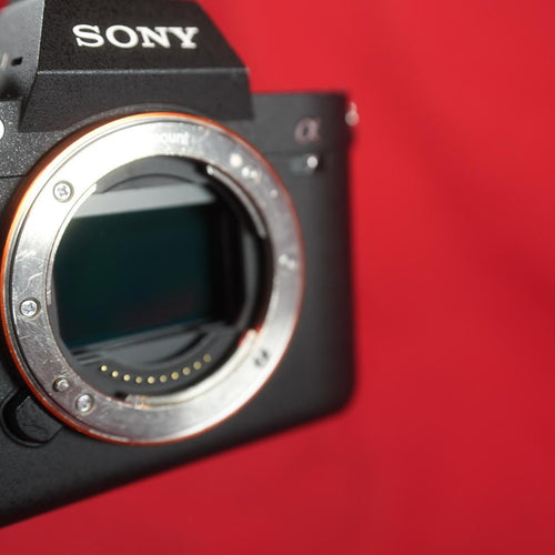 Sony Mirrorless Interchangeable Lips 7