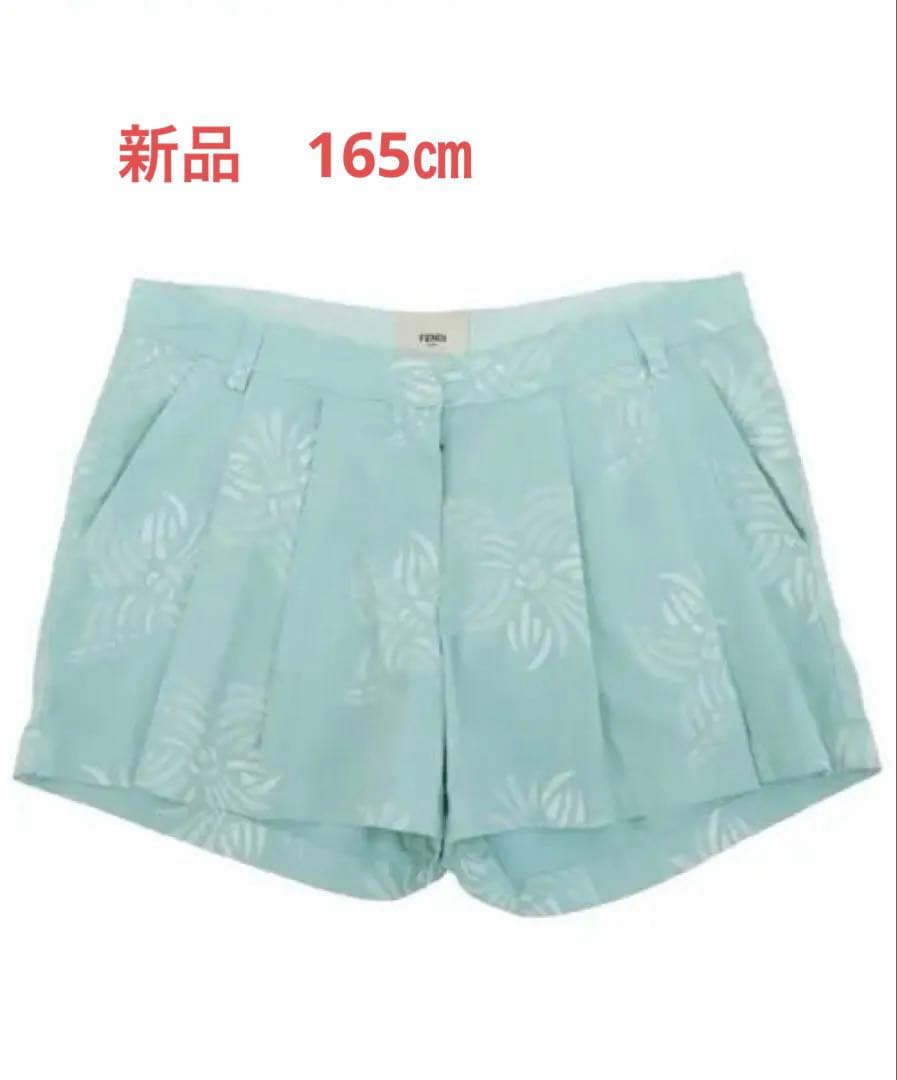 Fendi Shorts 165