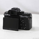 Sony Mirrorless Interchangeable Lips 7Sii Ilce-7Sm2 262