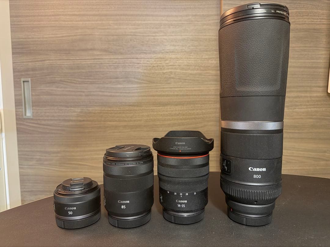 Canon Digital Slrs Eos R6 Rf