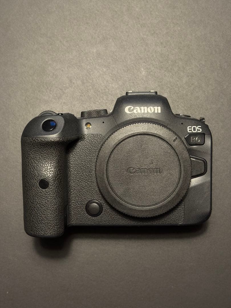 Canon Digital Slrs Eos R6 Rf