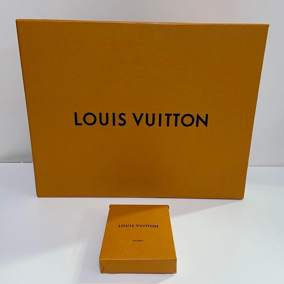 Louis Vuitton Others
