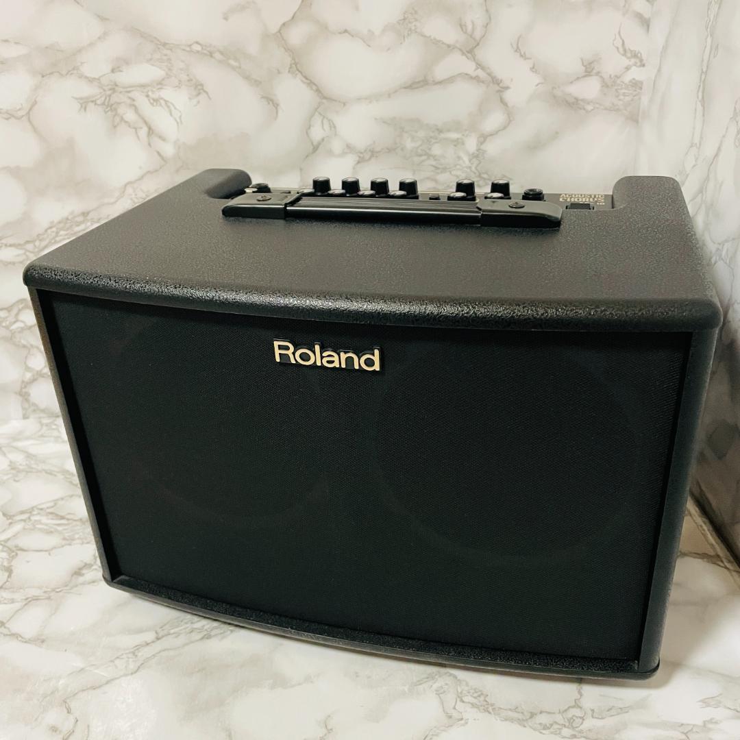 Roland Guitar Amplifiers Ac-60
