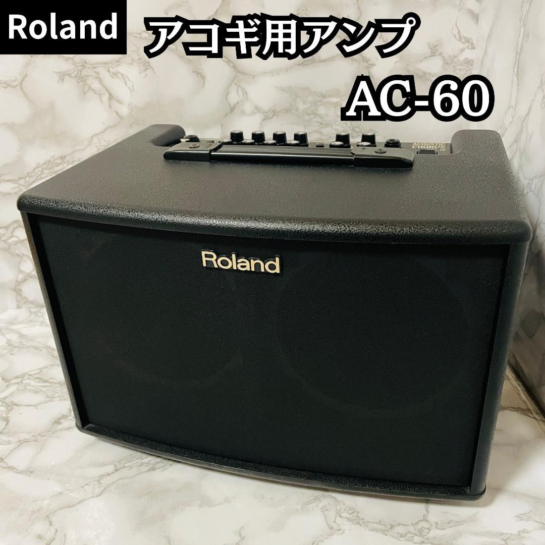 Roland Guitar Amplifiers Ac-60