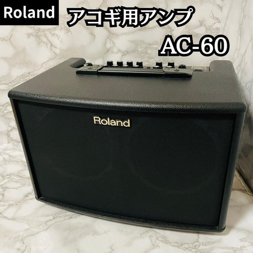 Roland Guitar Amplifiers Ac-60