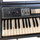 Analog Synthesizer Roland Rs-101