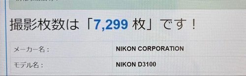 Nikon Digital Slr D3100