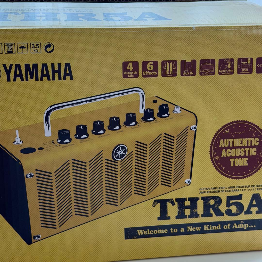 Yamaha Guitar Amplifiers Thr5A