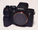 Sony Mirrorless Interchangeable Lips 7Rv