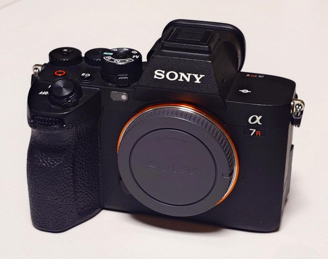 Sony Mirrorless Interchangeable Lips 7Rv