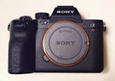 Sony Mirrorless Interchangeable Lips 7Rv
