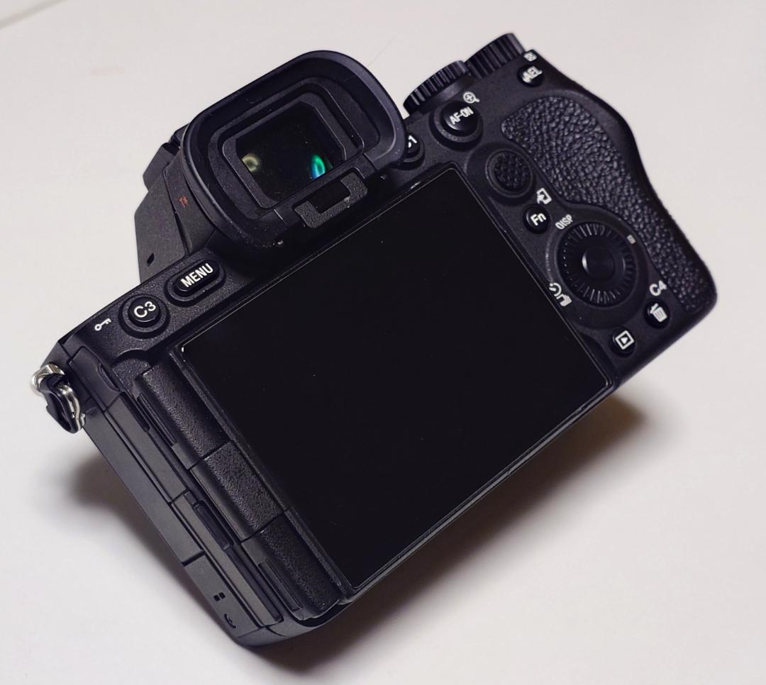 Sony Mirrorless Interchangeable Lips 7Rv