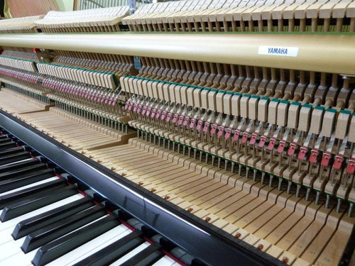 Uplight Piano Yus Enst