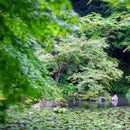 Canon Prime Lenses Ef F/1.2L Usm Kenko