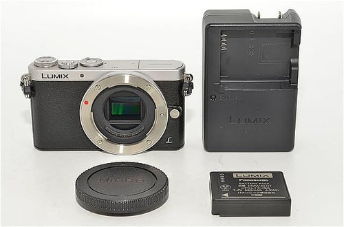 Panasonic Mirrorless Interchangeable Lips 819 Gm1