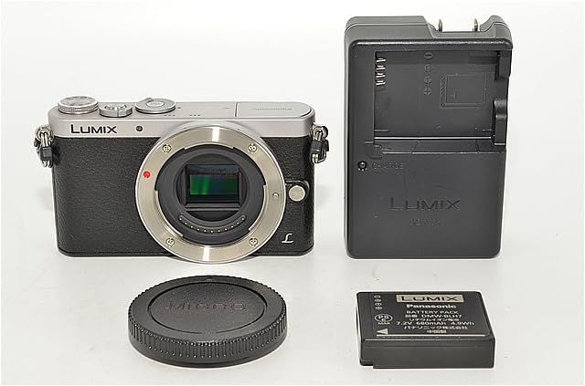 Panasonic Mirrorless Interchangeable Lips 819 Gm1