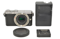 Panasonic Mirrorless Interchangeable Lips 819 Gm1
