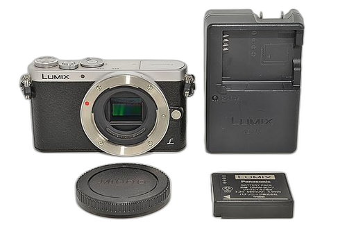 Panasonic Mirrorless Interchangeable Lips 819 Gm1