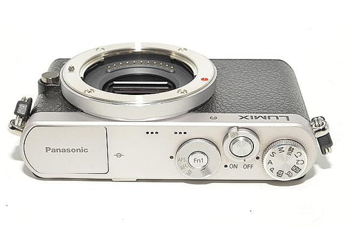 Panasonic Mirrorless Interchangeable Lips 819 Gm1