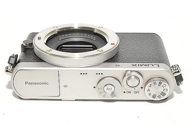 Panasonic Mirrorless Interchangeable Lips 819 Gm1