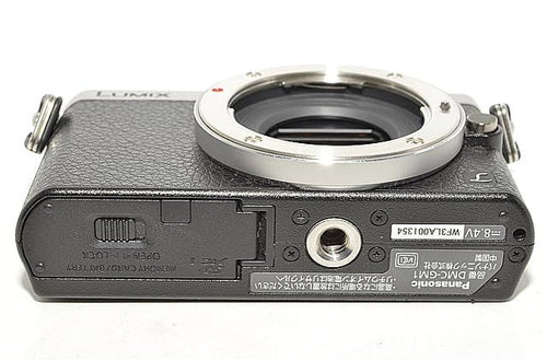 Panasonic Mirrorless Interchangeable Lips 819 Gm1