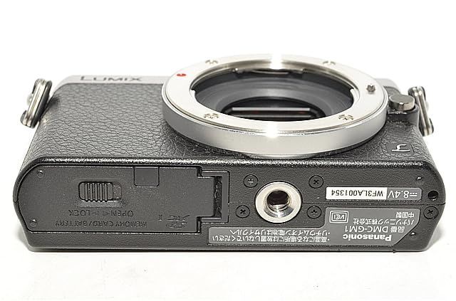 Panasonic Mirrorless Interchangeable Lips 819 Gm1