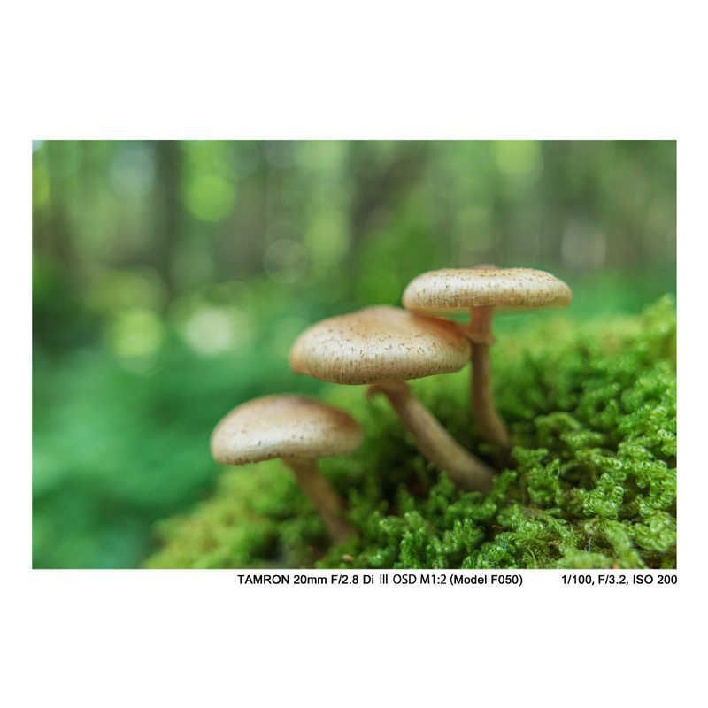 Tamron Others E F/2.8 Di Iii Osd M1 2 (Model F050)