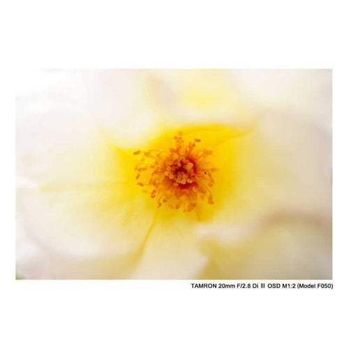 Tamron Others E F/2.8 Di Iii Osd M1 2 (Model F050)