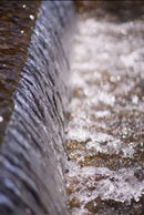 Lens (Single Focus) F1.4 Fujifilm