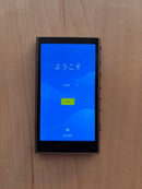 Lecteurs portables Sony Nw-A105Hn