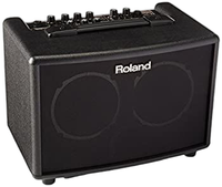 Pick Up Roland 15W+15W Ac-33
