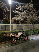 Motorcycle Body Tzr125 3Ty