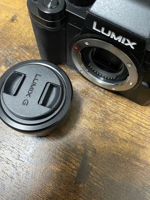 Panasonic Mirrorless Interchangeable Lens Cameras Lumix Dc-G100K