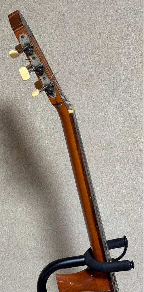 Yamaha Classical Guitars G-80A