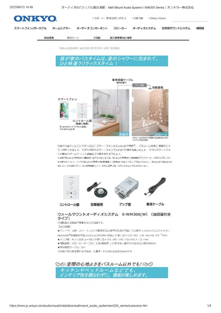Onkyo Other (X-Wm300)