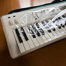 Korg Other Kross2-61 Sc