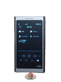 Sony Digital Audio Player Nw-A50 (Nw-A56/32Gb)