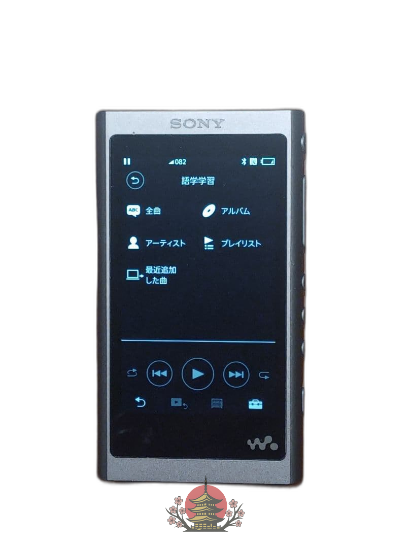 Sony Digital Audio Player Nw-A50 (Nw-A56/32Gb)