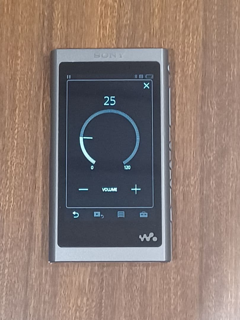Sony Digital Audio Player Nw-A50 (Nw-A56/32Gb)