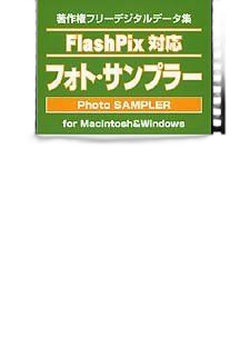 Others Flash Pix Vol.3