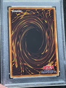 Yu -Gi -Oh! Ocg Duel Monsters Psa10