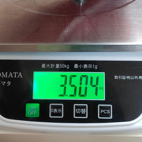 Yamaha Electric Basses Motion B Mb-
