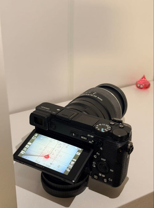 Sony Mirrorless Interchangeable Lens Cameras 6500