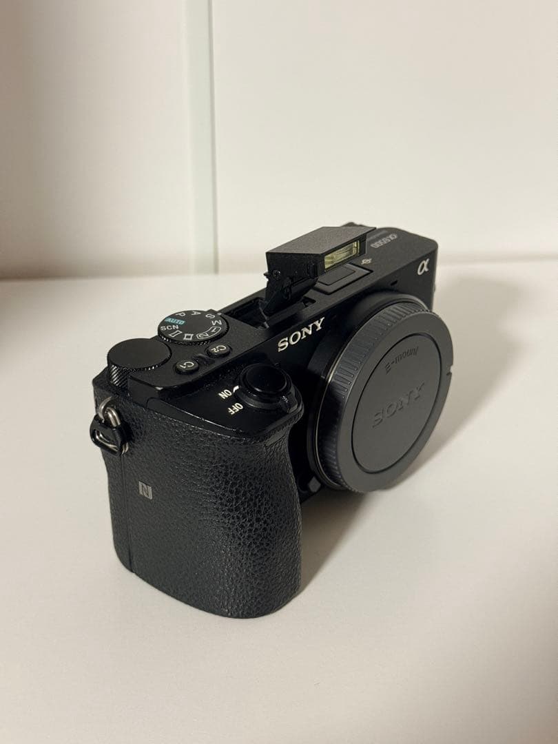 Sony Mirrorless Interchangeable Lens Cameras 6500