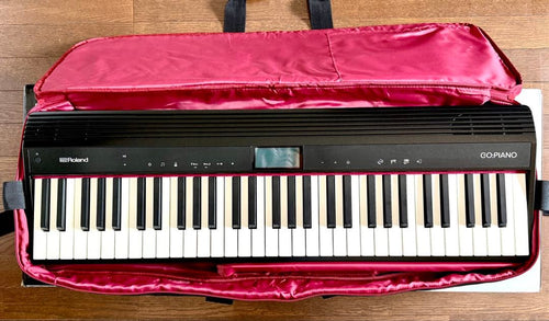 Roland Other Go-61P
