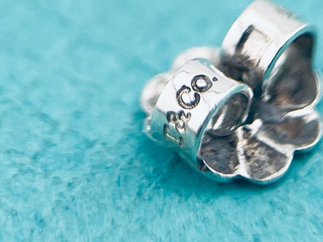 Tiffany Earrings (For Both Ears) D117 Atlas 925